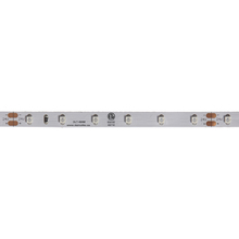 Dainolite DLT-48AM - DLT-48AM